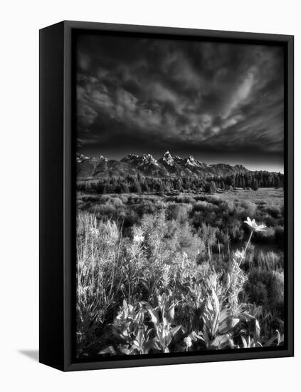 Blacktail Ponds Overlook-Dean Fikar-Framed Premier Image Canvas