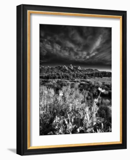 Blacktail Ponds Overlook-Dean Fikar-Framed Photographic Print