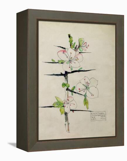 Blackthorn, Chiddingstone, Kent, 1910-Charles Rennie Mackintosh-Framed Premier Image Canvas