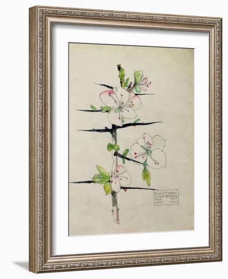 Blackthorn, Chiddingstone, Kent, 1910-Charles Rennie Mackintosh-Framed Giclee Print