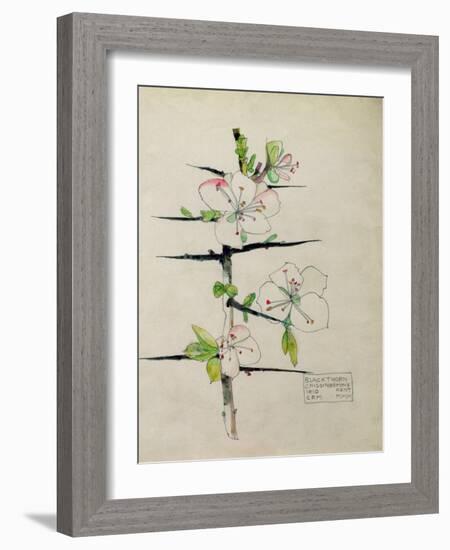 Blackthorn, Chiddingstone, Kent, 1910-Charles Rennie Mackintosh-Framed Giclee Print