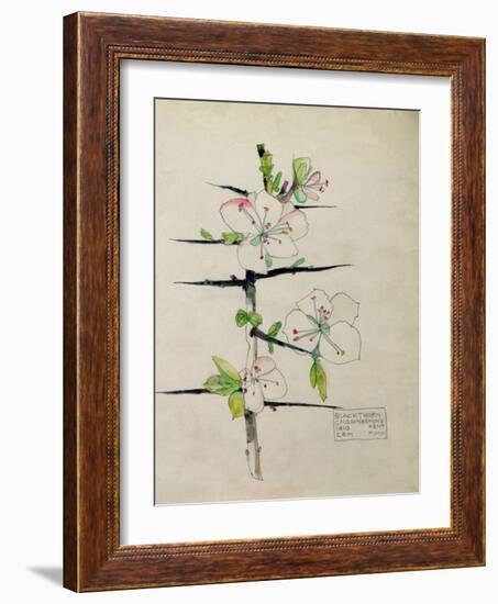 Blackthorn, Chiddingstone, Kent, 1910-Charles Rennie Mackintosh-Framed Giclee Print