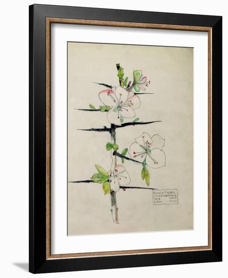 Blackthorn, Chiddingstone, Kent, 1910-Charles Rennie Mackintosh-Framed Giclee Print