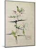 Blackthorn, Chiddingstone, Kent, 1910-Charles Rennie Mackintosh-Mounted Giclee Print