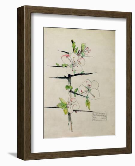 Blackthorn, Chiddingstone, Kent, 1910-Charles Rennie Mackintosh-Framed Giclee Print