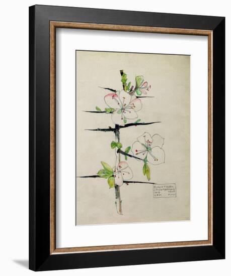 Blackthorn, Chiddingstone, Kent, 1910-Charles Rennie Mackintosh-Framed Giclee Print