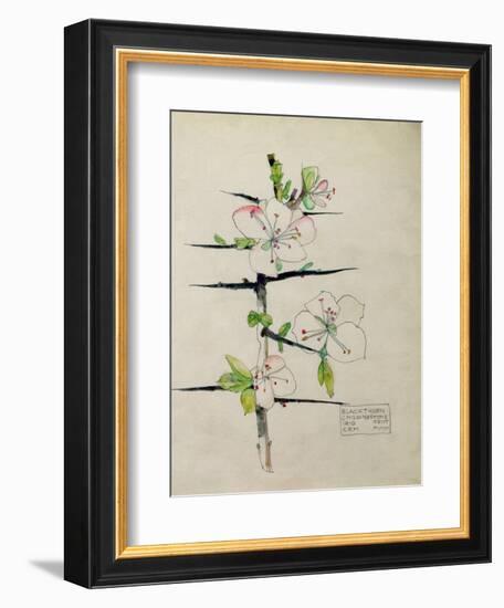 Blackthorn, Chiddingstone, Kent, 1910-Charles Rennie Mackintosh-Framed Giclee Print