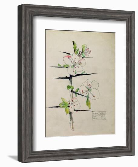 Blackthorn, Chiddingstone, Kent, 1910-Charles Rennie Mackintosh-Framed Giclee Print