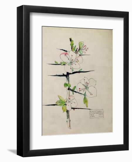 Blackthorn, Chiddingstone, Kent, 1910-Charles Rennie Mackintosh-Framed Giclee Print