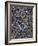 Blackthorn, Wallpaper-William Morris-Framed Giclee Print