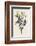 Blackthorn-F. Edward Hulme-Framed Photographic Print