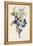 Blackthorn-F. Edward Hulme-Framed Premier Image Canvas