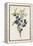 Blackthorn-F. Edward Hulme-Framed Premier Image Canvas