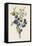 Blackthorn-F. Edward Hulme-Framed Premier Image Canvas