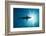 Blacktip Shark (Carcharhinus Limbatus)-Reinhard Dirscherl-Framed Photographic Print