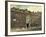 Blackwell Hall, City of London, 1886-null-Framed Giclee Print