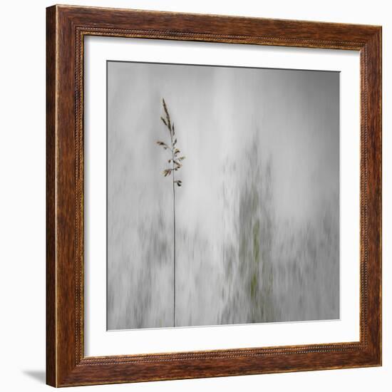 Blade of Grass-Gilbert Claes-Framed Photographic Print