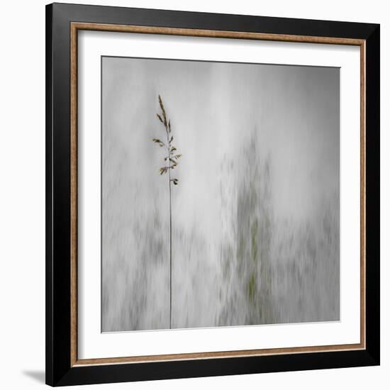 Blade of Grass-Gilbert Claes-Framed Photographic Print