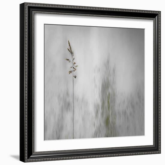 Blade of Grass-Gilbert Claes-Framed Photographic Print