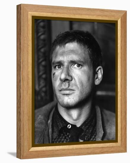 BLADE RUNNER, 1981 directed by RIDLEY SCOTT Harrison Ford (b/w photo)-null-Framed Stretched Canvas