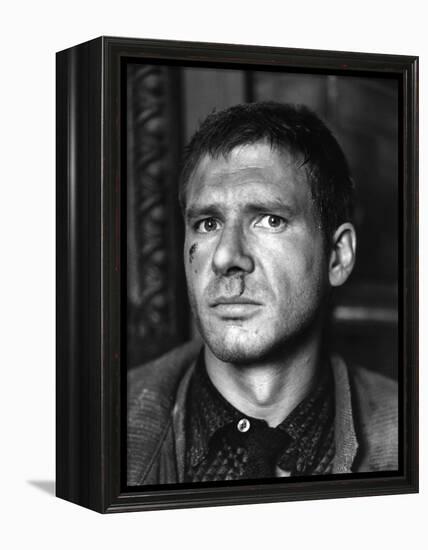 BLADE RUNNER, 1981 directed by RIDLEY SCOTT Harrison Ford (b/w photo)-null-Framed Stretched Canvas