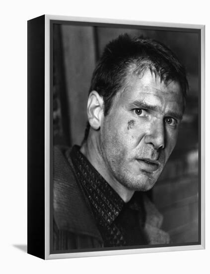 BLADE RUNNER, 1981 directed by RIDLEY SCOTT Harrison Ford (b/w photo)-null-Framed Stretched Canvas