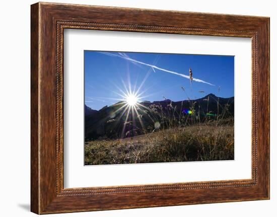 Blades of Grass in the Back Light, Sunrise Above the Spronser Col, South Tirol-Rolf Roeckl-Framed Photographic Print