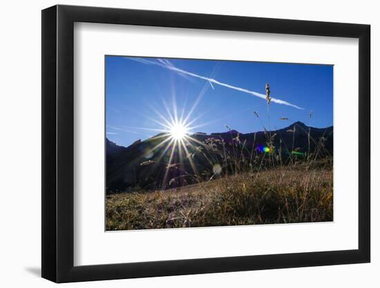 Blades of Grass in the Back Light, Sunrise Above the Spronser Col, South Tirol-Rolf Roeckl-Framed Photographic Print