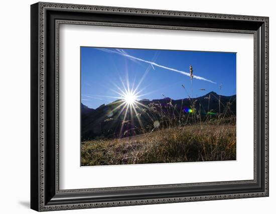 Blades of Grass in the Back Light, Sunrise Above the Spronser Col, South Tirol-Rolf Roeckl-Framed Photographic Print