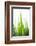 Blades of Green No. 1-Sonja Quintero-Framed Photographic Print