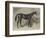 Blair Athol, the Winner of the Derby for 1864-null-Framed Giclee Print