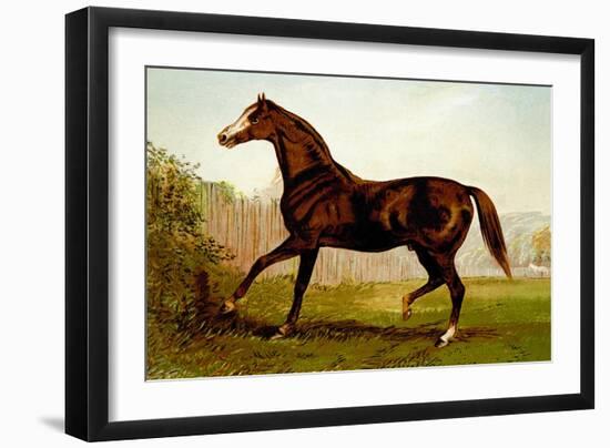 Blair Athol-Samuel Sidney-Framed Art Print