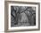 Blakeley State Park, Civil War-Carol Highsmith-Framed Photo