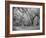 Blakeley State Park, Civil War-Carol Highsmith-Framed Photo