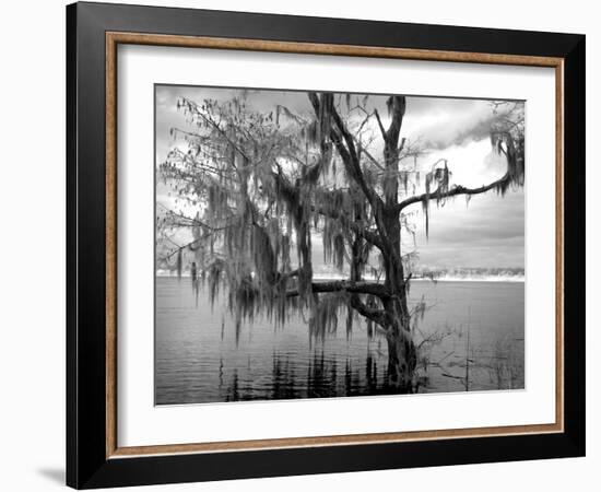 Blakeley State Park, Scene Of The Last Major Battle Of The Civil War-Carol Highsmith-Framed Art Print