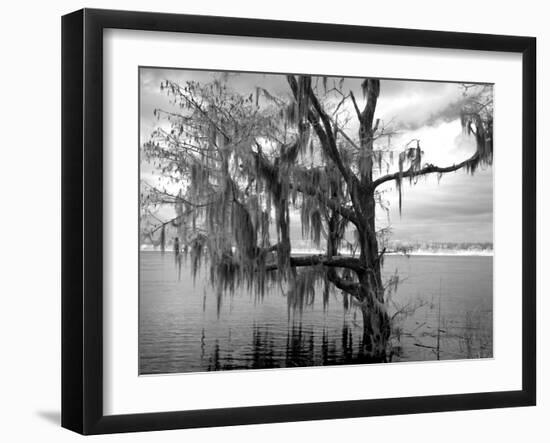 Blakeley State Park, Scene Of The Last Major Battle Of The Civil War-Carol Highsmith-Framed Art Print