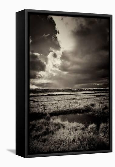 Blakeney Marshes on the Norfolk Coastline-Tim Kahane-Framed Premier Image Canvas