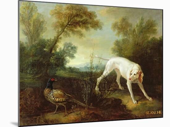 Blanche, Bitch of the Royal Hunting Pack-Jean-Baptiste Oudry-Mounted Giclee Print