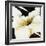 Blanco Flor IV-Bridges-Framed Giclee Print