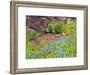 Blanket flowers and bluebonnets. Texas Hill Country, north of Buchanan Dam-Sylvia Gulin-Framed Photographic Print