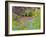 Blanket flowers and bluebonnets. Texas Hill Country, north of Buchanan Dam-Sylvia Gulin-Framed Photographic Print