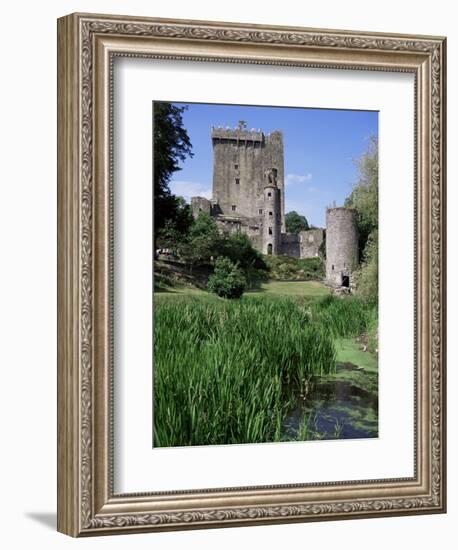 Blarney Castle, County Cork, Munster, Eire (Republic of Ireland)-J Lightfoot-Framed Photographic Print