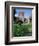 Blarney Castle, County Cork, Munster, Eire (Republic of Ireland)-J Lightfoot-Framed Photographic Print