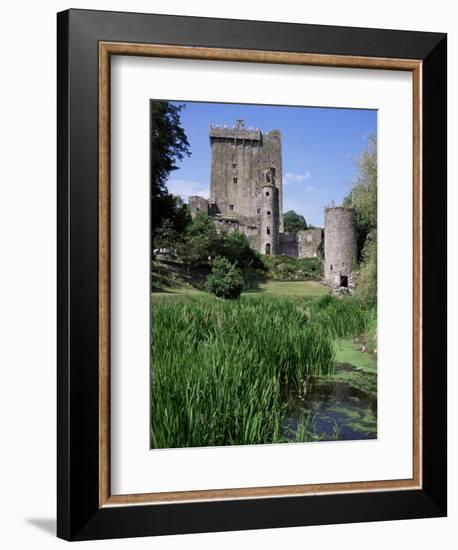 Blarney Castle, County Cork, Munster, Eire (Republic of Ireland)-J Lightfoot-Framed Photographic Print