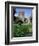 Blarney Castle, County Cork, Munster, Eire (Republic of Ireland)-J Lightfoot-Framed Photographic Print