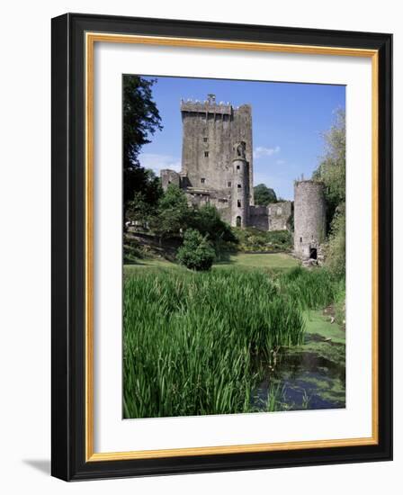 Blarney Castle, County Cork, Munster, Eire (Republic of Ireland)-J Lightfoot-Framed Photographic Print