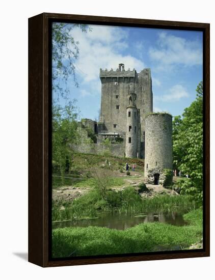 Blarney Castle, County Cork, Munster, Republic of Ireland, Europe-Harding Robert-Framed Premier Image Canvas