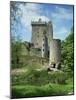 Blarney Castle, County Cork, Munster, Republic of Ireland, Europe-Harding Robert-Mounted Photographic Print