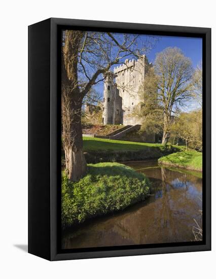 Blarney Castle in Springtime, County Cork, Munster, Republic of Ireland, Europe-null-Framed Premier Image Canvas