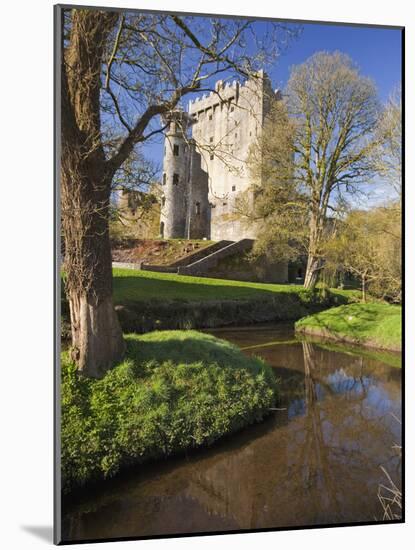 Blarney Castle in Springtime, County Cork, Munster, Republic of Ireland, Europe-null-Mounted Photographic Print